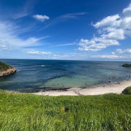 Berwick Holiday Park Haven 외부 사진