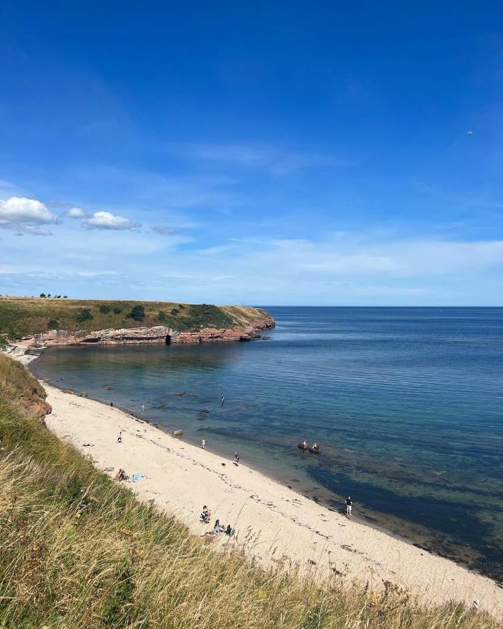 Berwick Holiday Park Haven 외부 사진